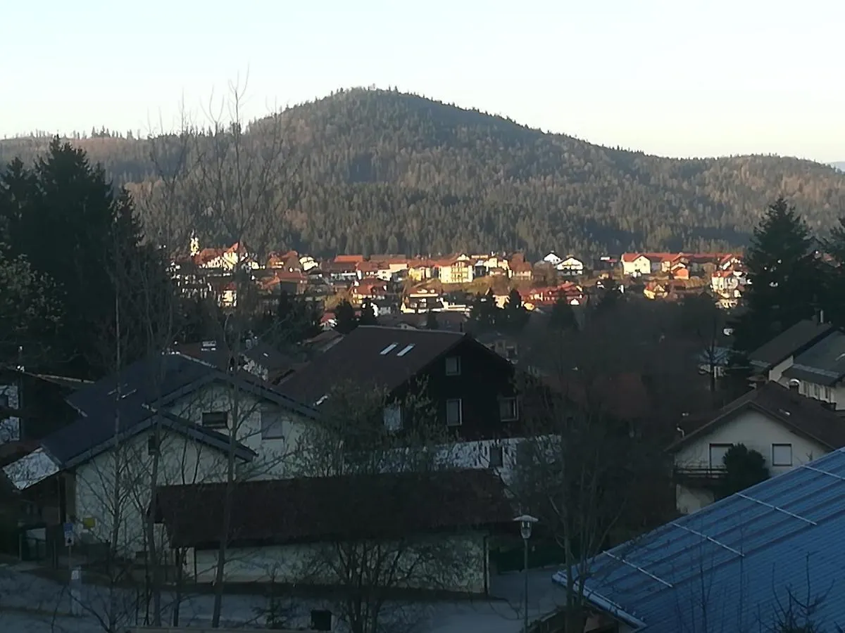 Hotel Waldhaus Bodenmais 0*,  Γερμανία