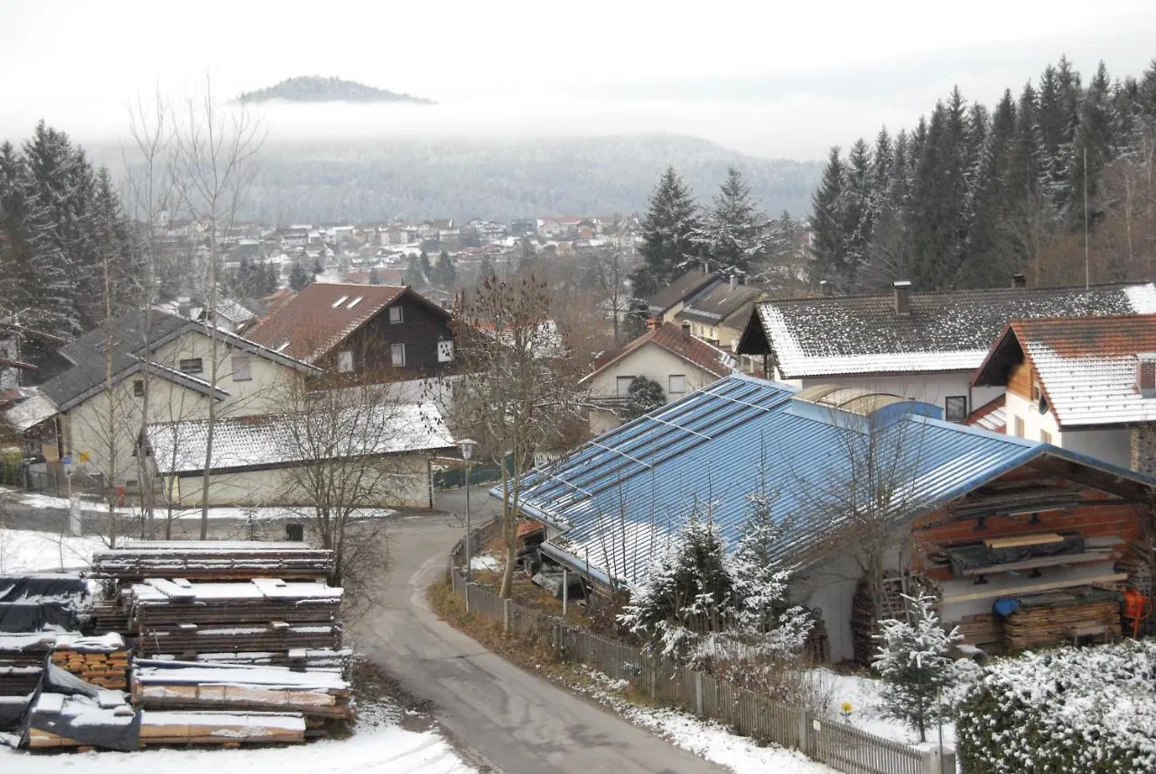 Hotel Waldhaus Bodenmais 0*,  Γερμανία