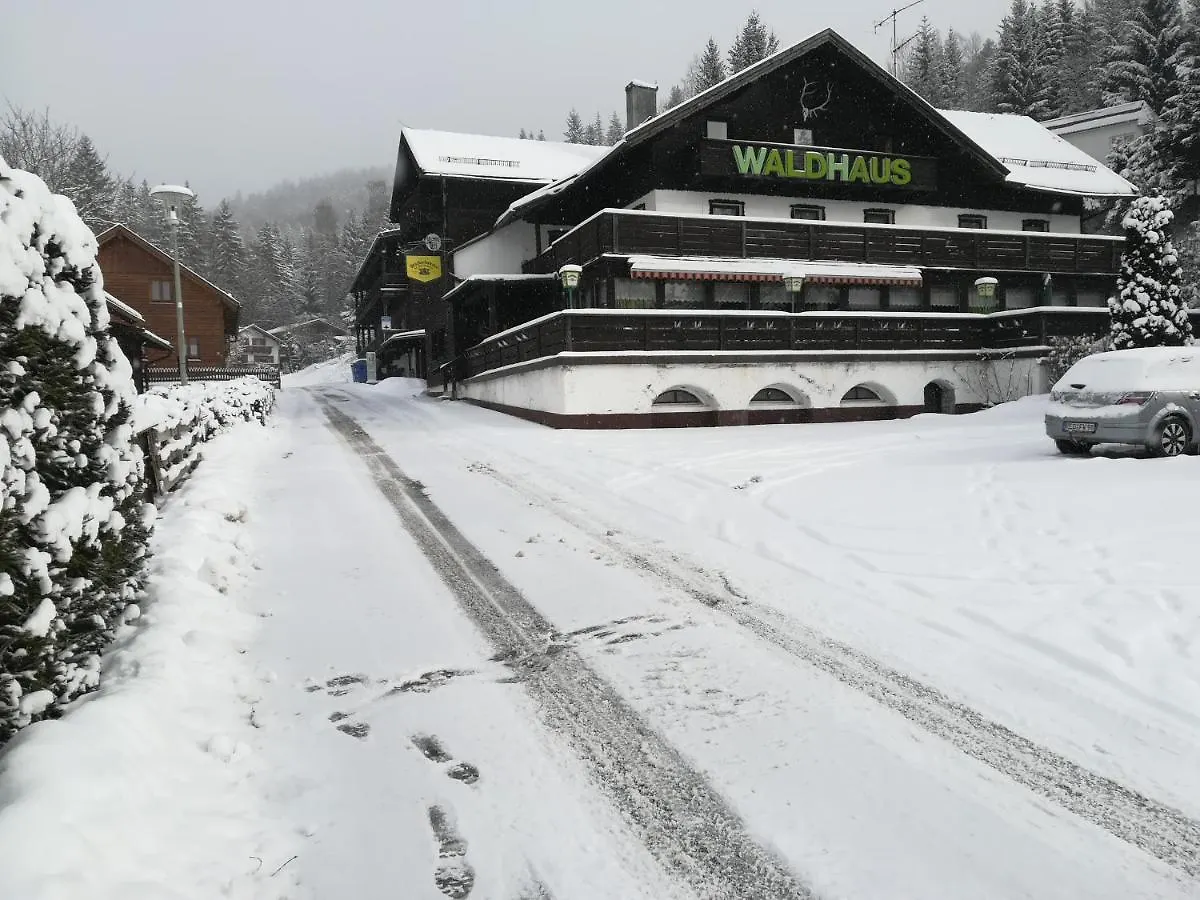 Hotel Waldhaus Bodenmais Γερμανία