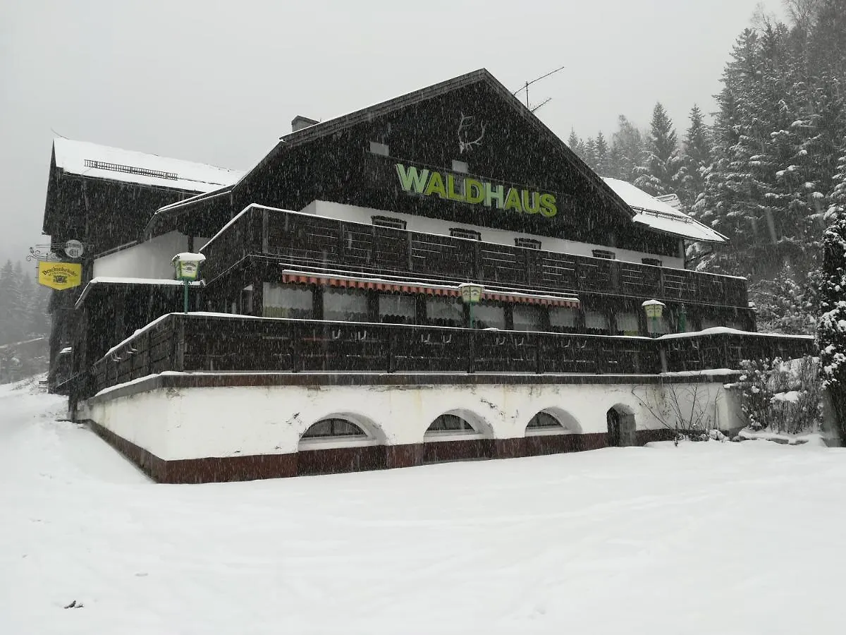 Hotel Waldhaus Bodenmais