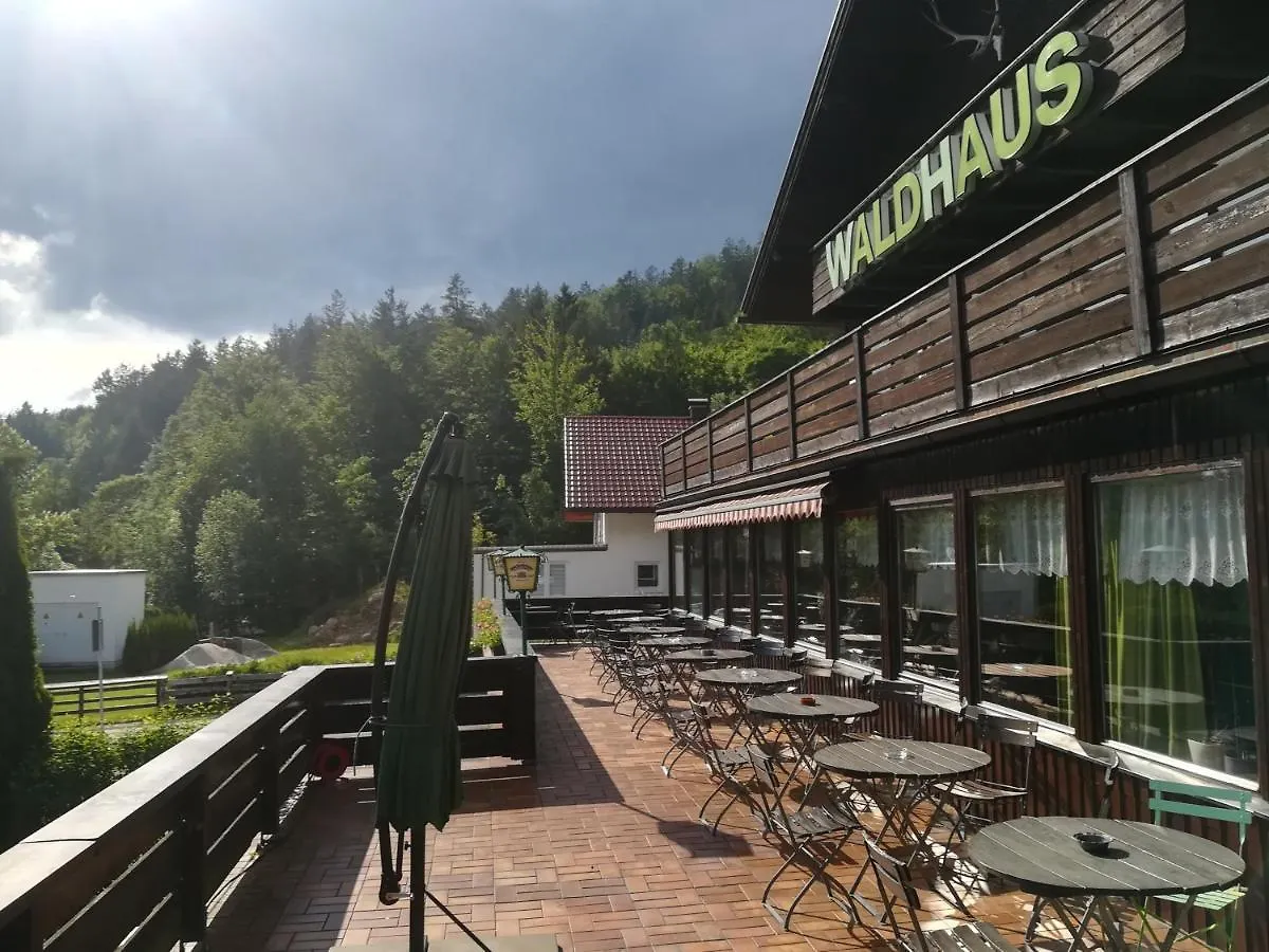 Hotel Waldhaus Bodenmais